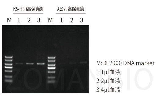 22.9 高保真酶圖6.jpg