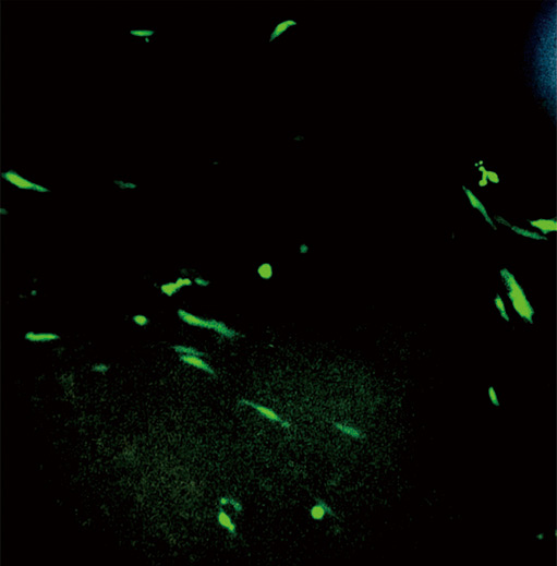 23.9 ZC305 下圖5.jpg