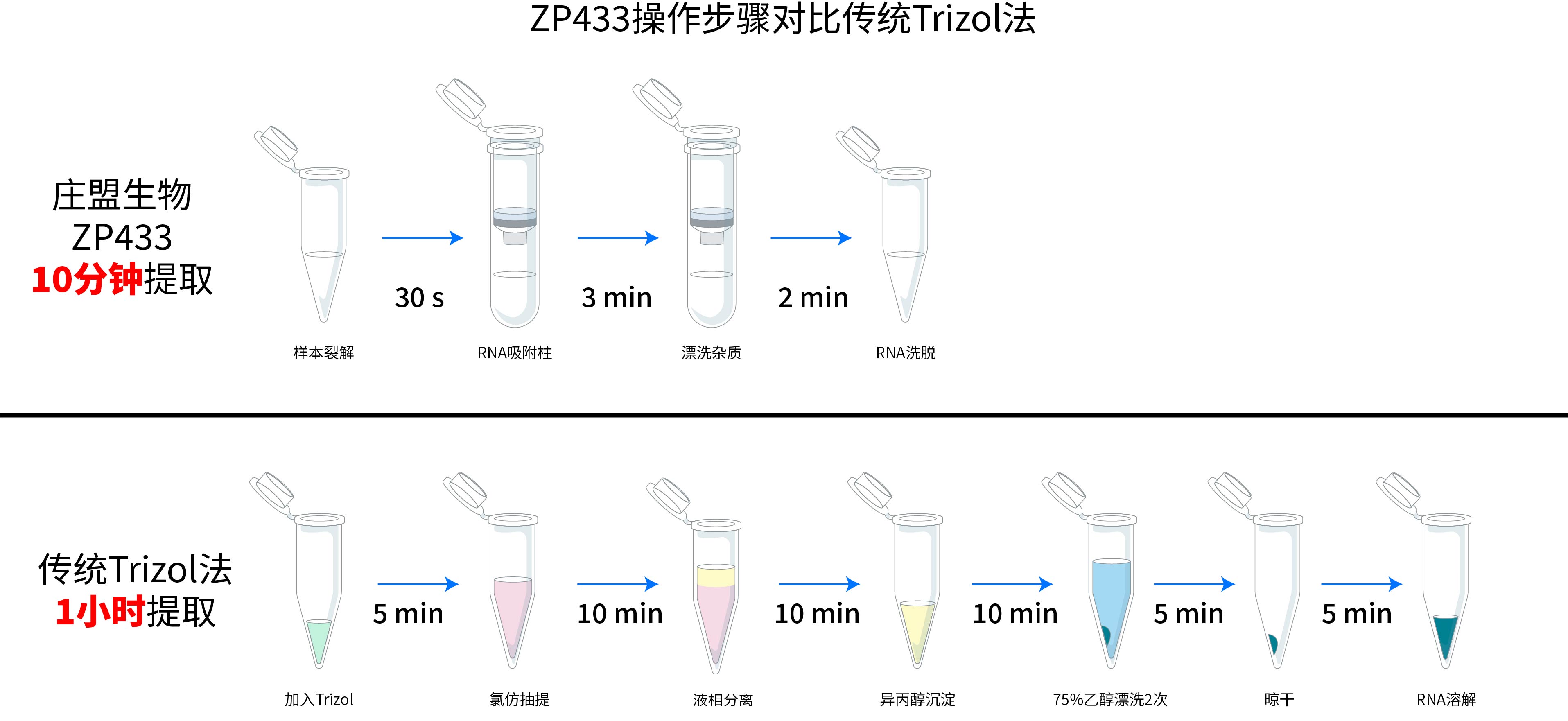 ZP441實(shí)驗(yàn)步驟與Trizol對比-02.jpg