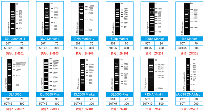18.8 促銷Marker圖.jpg