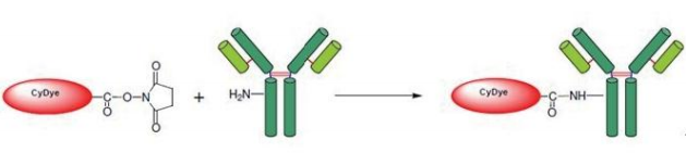 5f3108550ca8b.png image.png