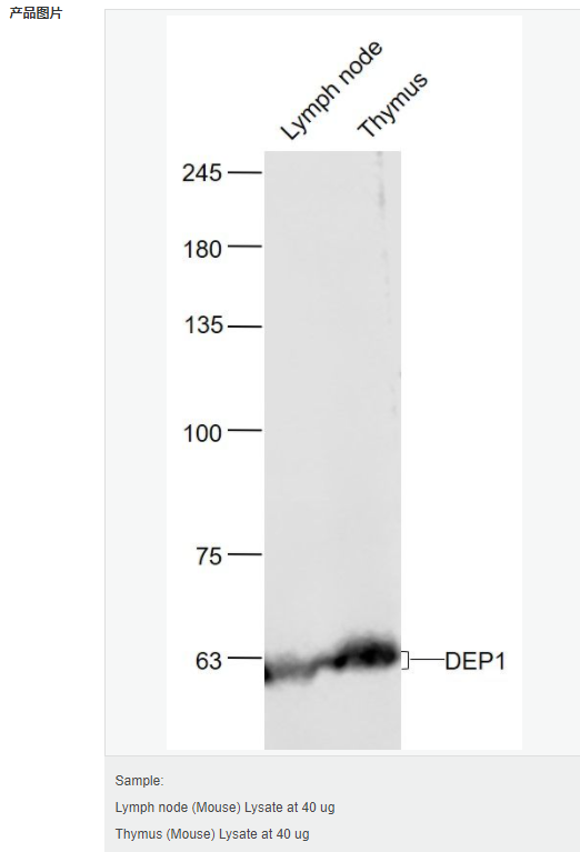 6052aa83abd71.png image.png