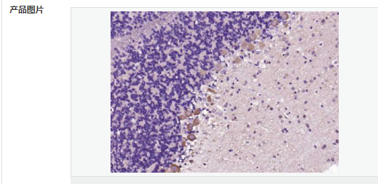 6052bac83ca60.png image.png