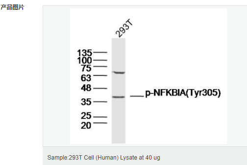 60543f9e5aa32.png image.png