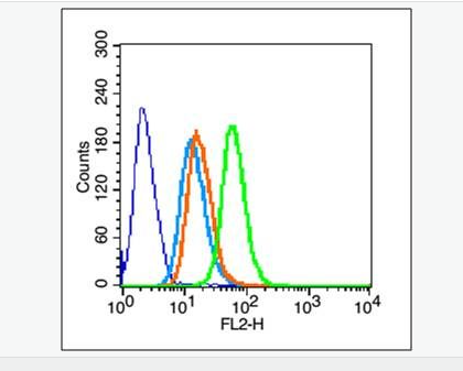 605440112bc4d.png image.png