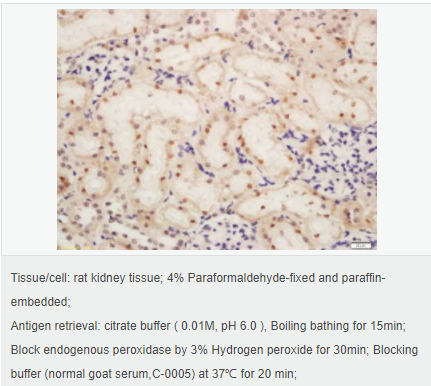 60544ccda2487.png image.png