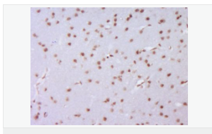 60544d7580f5a.png image.png