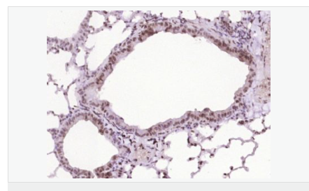 605829cd32f84.png image.png