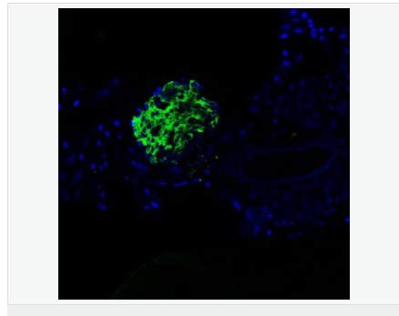 6058308410c5e.png image.png