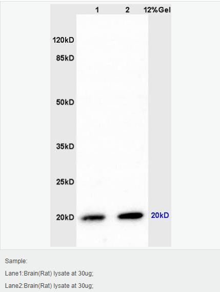 605839043f500.png image.png