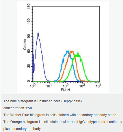 6058393fb691a.png image.png