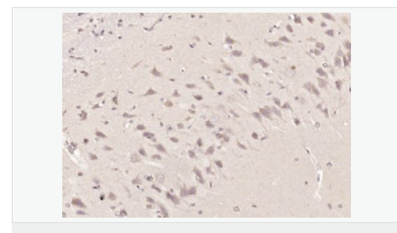 605839d957c78.png image.png