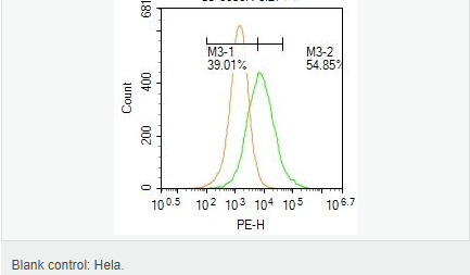 60583e86495ce.png image.png