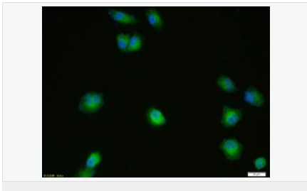 60584b92db592.png image.png