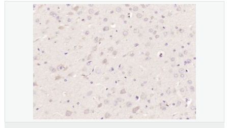 605854931967a.png image.png