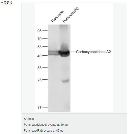 6059474908cdd.png image.png