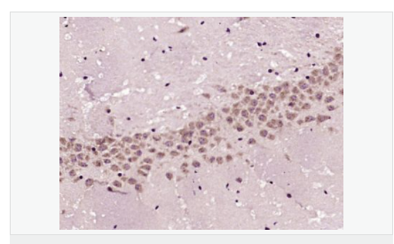 6059507a67092.png image.png