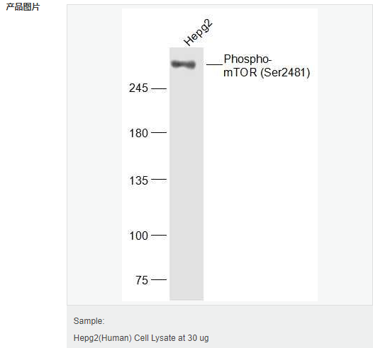 605992e5c0b47.png image.png