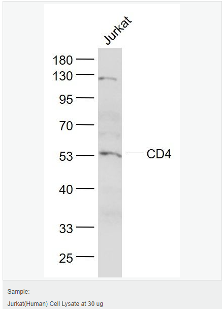 605c3f1399d97.png image.png