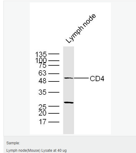 605c3f214c2bb.png image.png