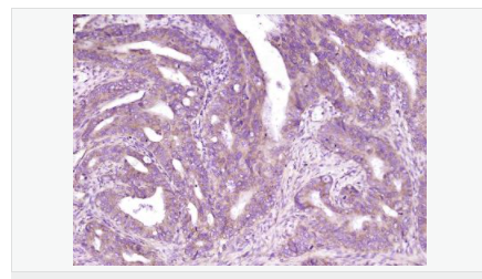 605c3f2e21e56.png image.png