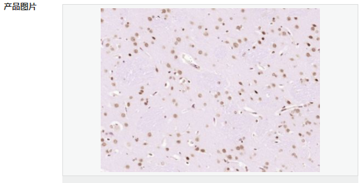 605c40b483161.png image.png