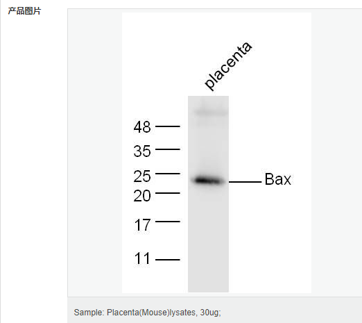 605c4828305bf.png image.png