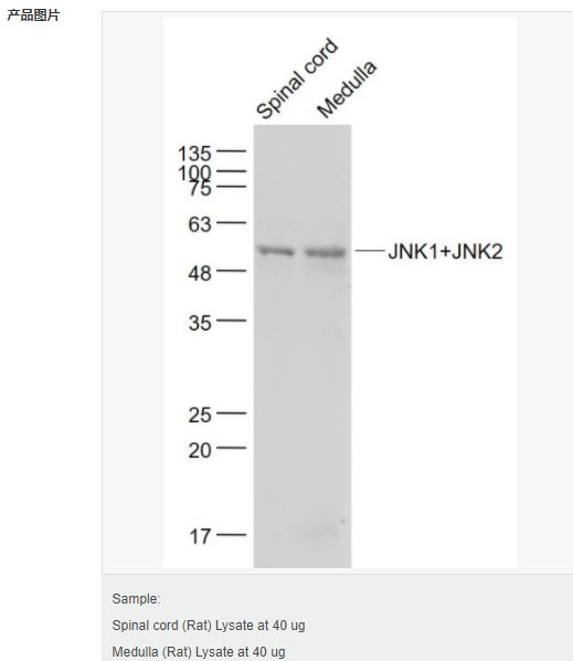 605d85d5ed6c6.png image.png