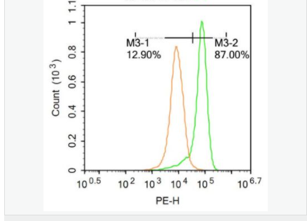 60613015b8ce6.png image.png