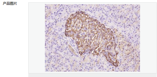 60614911666f6.png image.png