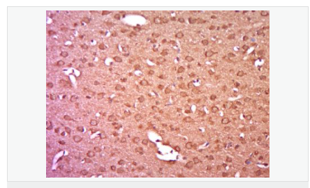 6063d56397cf4.png image.png