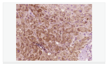 60640f43bd029.png image.png