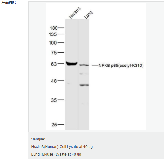 606560f05e854.png image.png