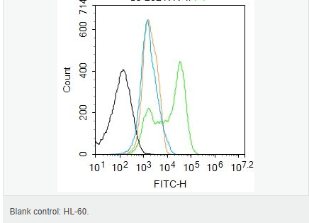 6065667d4fd41.png image.png