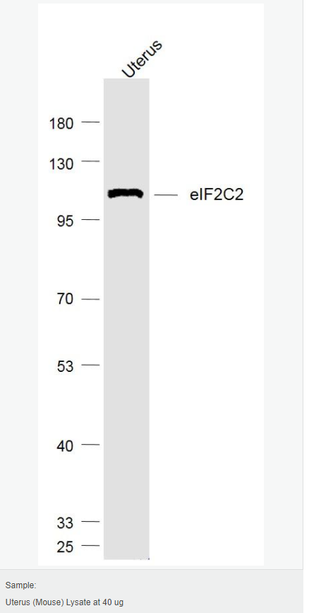 606572aab8a68.png image.png