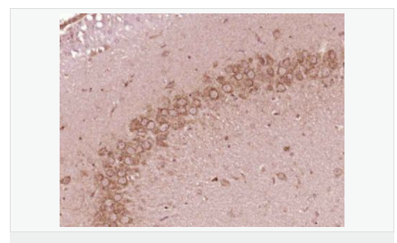 6066c5997acf4.png image.png