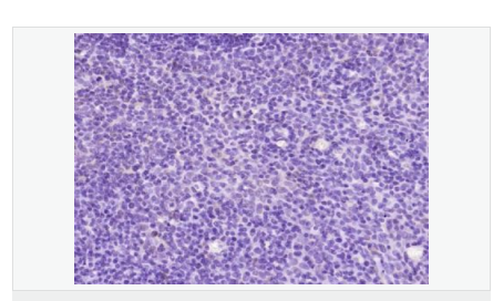 6066d31b92291.png image.png