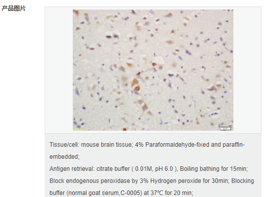 60764591a8922.png image.png