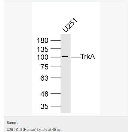 60764766910b1.png image.png