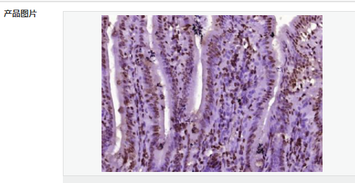 607648967206a.png image.png