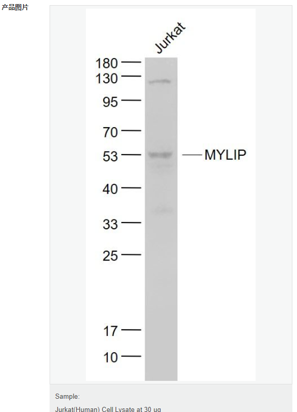 60765e24c6ace.png image.png