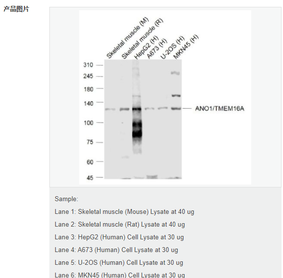 60767e2f986f3.png image.png