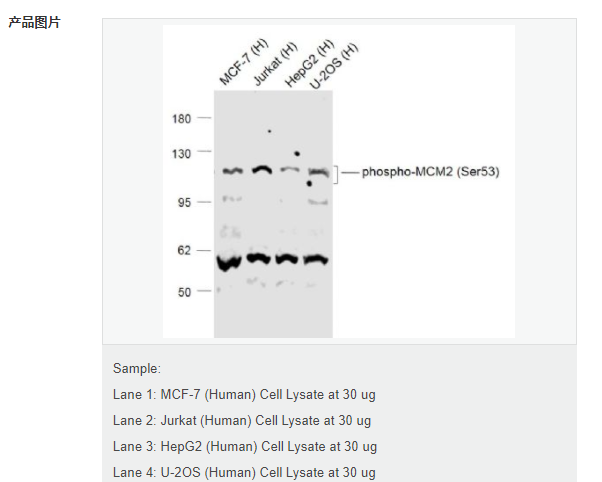 6077979eabfd9.png image.png