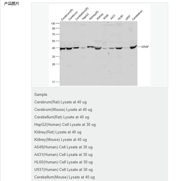 60779e320bfd5.png image.png