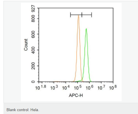 6077b2b16ab60.png image.png