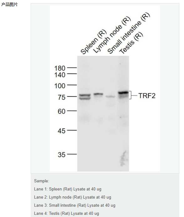 607d17a548990.png image.png