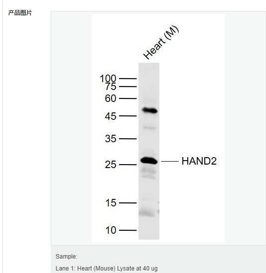 607d186044970.png image.png