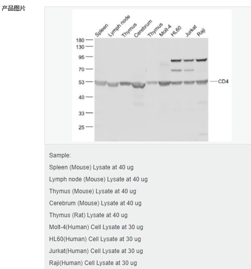 607d1f120a1ee.png image.png