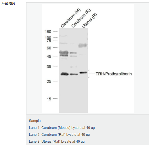 607d1fc4cea28.png image.png