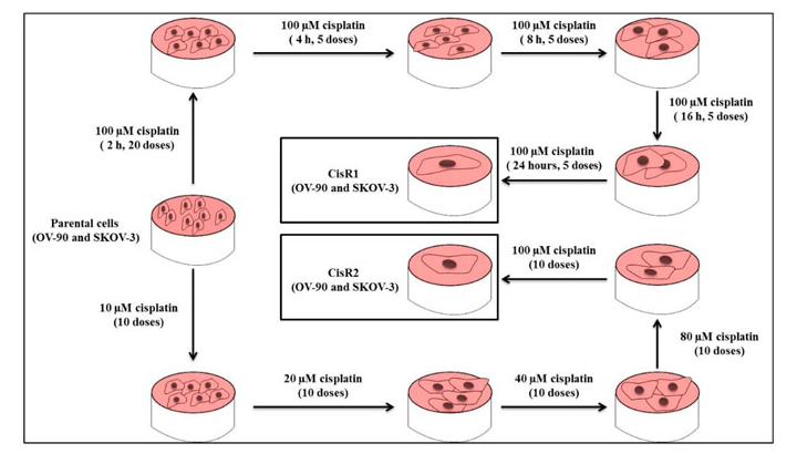 68ea113f1f874.png image.png